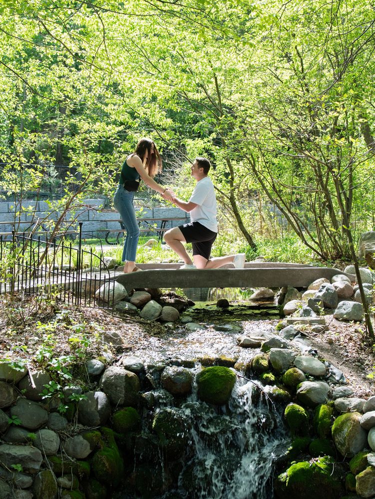 Proposal in a garden by a stream